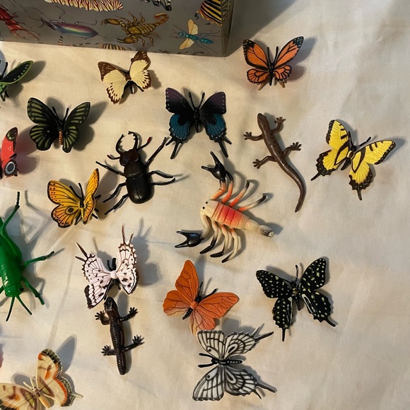Colorful Insect and Butterfly Collection Box - Picture 4 of 10